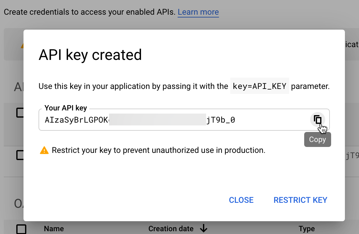 Copy your API key and press Restrict key.